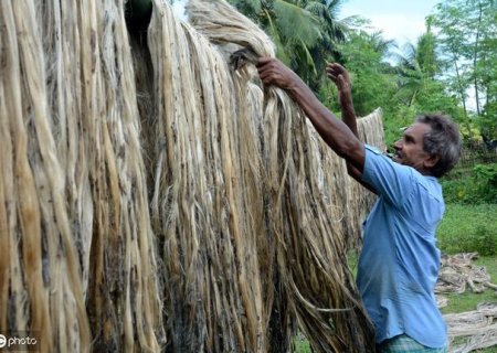 Jute Fiber Composites: Graphene Modifications