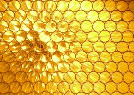 Learn from nature, the plastic honeycomb beehive structure—Achieving Polypropylene honeycomb core