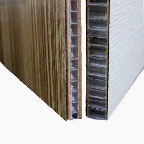 Plastic honeycomb laminated sandwich panels for cleanroom contractors