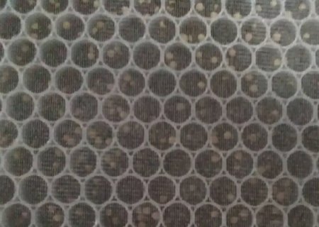 Plastic honeycomb core-Perfect carrier for activated carbon Purification filter(part II)