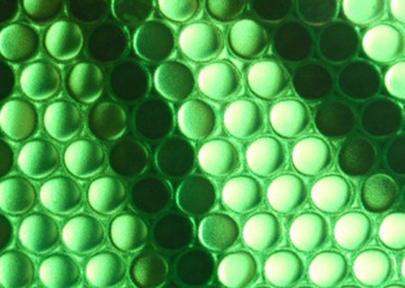 HOW DO PLASTIC HONEYCOMB PANELS ABSORB SOUND AND LIGHT?