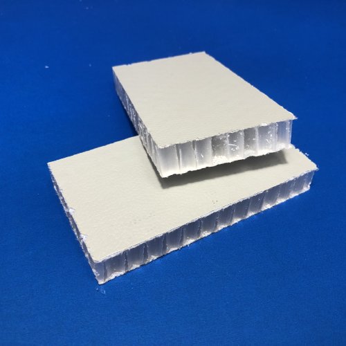 Plastic honeycomb laminated wall partitions for cleanspace cleanrooms