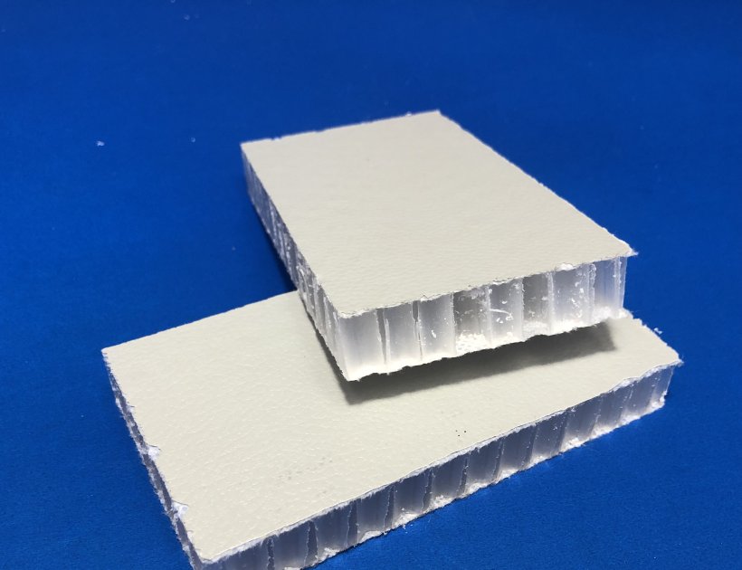 Plastic honeycomb laminated wall partitions for cleanspace cleanrooms-874